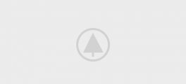 wood-gallery-placeholder wood-gallery-placeholder